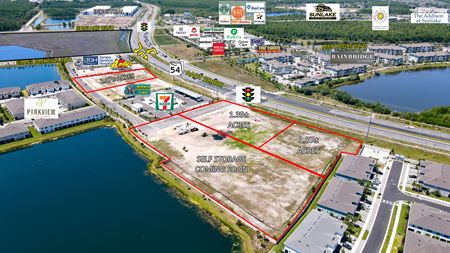 VacantLand space for Sale at SR 54 & Sunlake Boulevard in Lutz