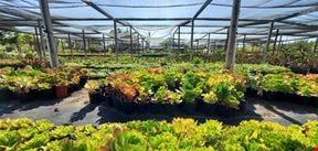 22.86 Acres of Land with 3 houses and greenhouses in Bonsall