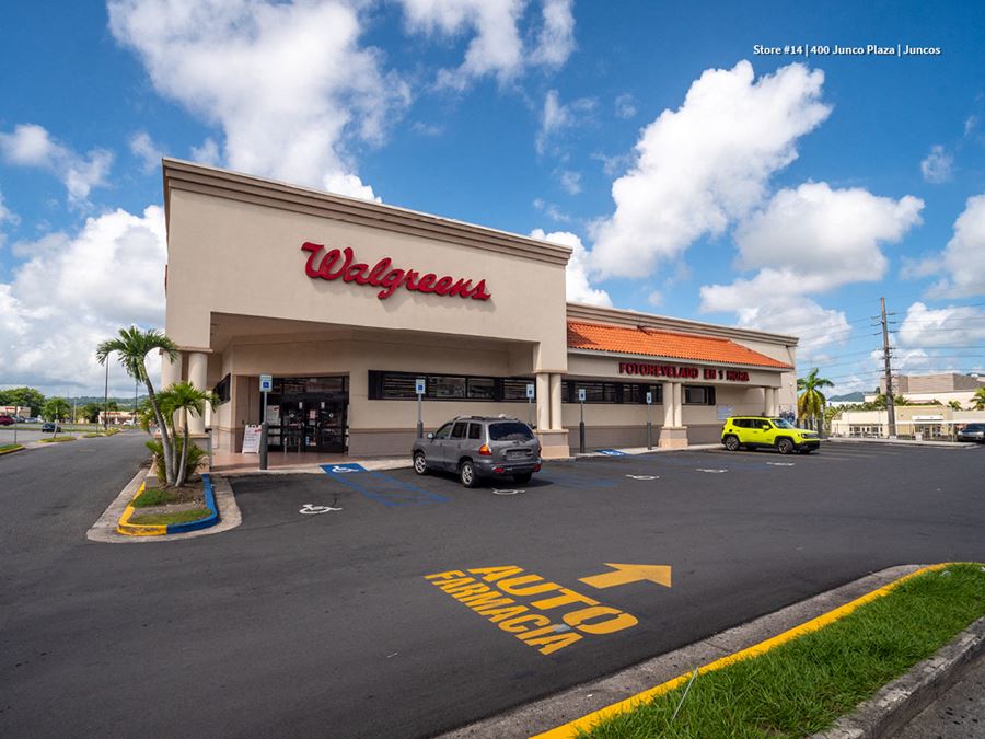 A-NNN Leased Retail Portfolio in Puerto Rico