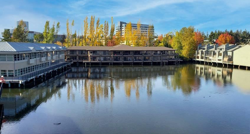 40 Lake Bellevue