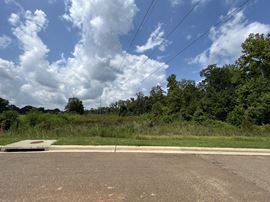 6.02 Acres Lakeland Drive
