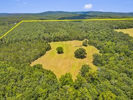 380 Acres in Crawford County Arkansas