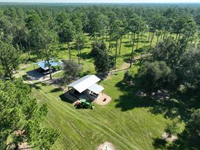 Flynn Hunting & Timber Property in Lee County GA