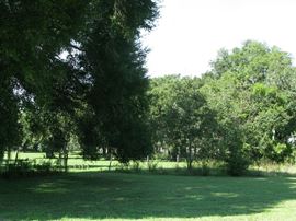4 Acres for Commercial Development