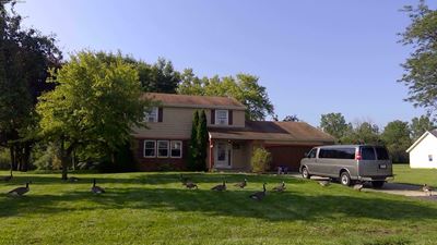 11329 Coldwater Road