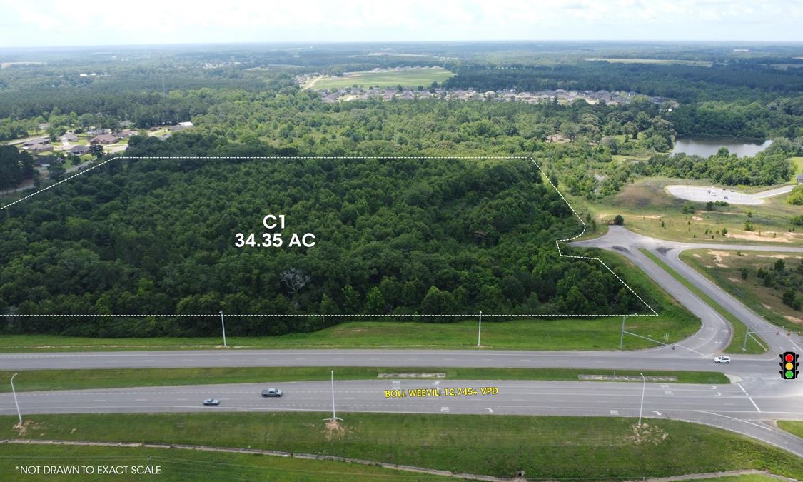 Camellia Commons- Land Available for Sale