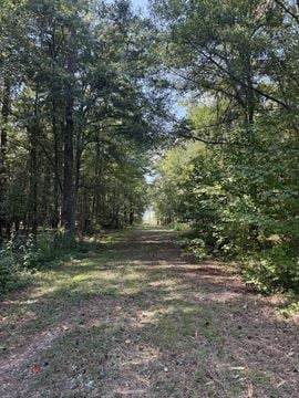 Monroe Highway Land Tract