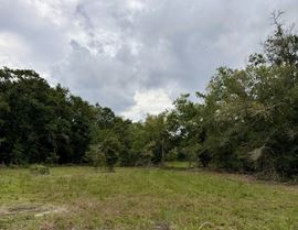 Plant City Oaks Hunting Tract