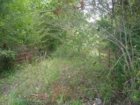 98 Acres Opportunity Zone in Irondale AL