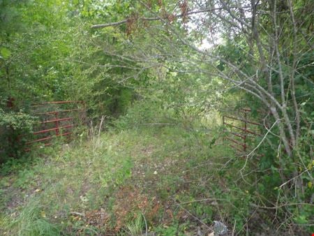 98 Acres Opportunity Zone in Irondale AL - Irondale