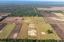 Marion County 24 Acre Ranchette and Homesite