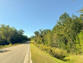 Byrd Blvd Petal Land