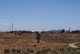 9.84 Acres Land Green Tree