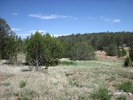 110 Jesse James Rd