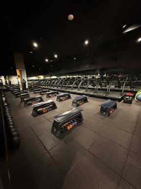 Shred 415 Sublease