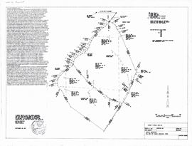 Mary Dotty Subdivision-Development