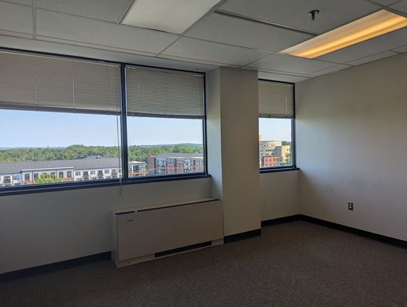 Oasis Office LLC - Ivy