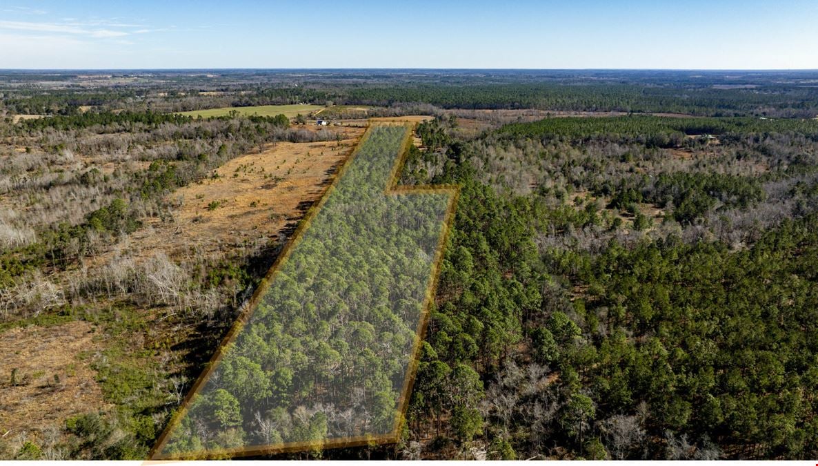 Toombs County 22 ± Acres