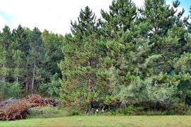 Lot 2 Sundance Drive