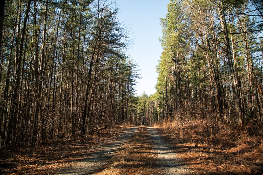 Smeltzer Mountain Road Tract One