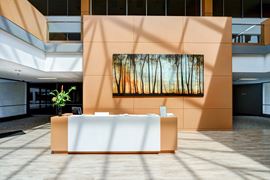 1350 Touhy Plaza