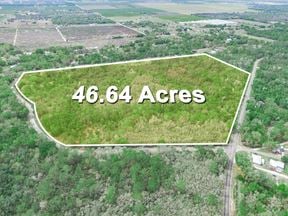 47± Scenic Wooded Acres with Trails, Wildlife, and Lake Access