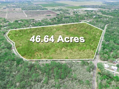47± Scenic Wooded Acres with Trails, Wildlife, and Lake Access
