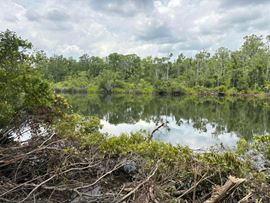 Land for Sale - Bushy Park Rd