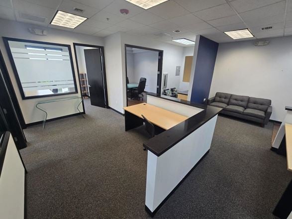 Professional Office