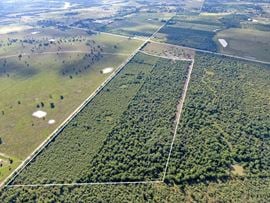85 Acre Development Tract on FM 1486