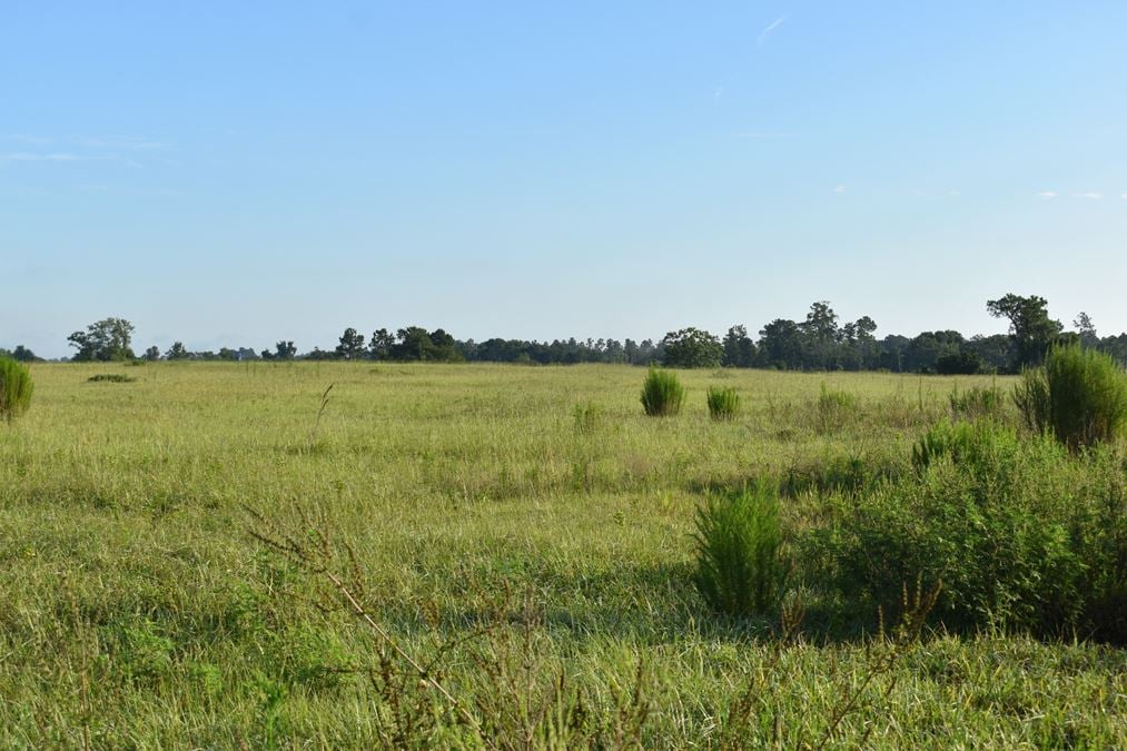 Lake County 2,478 ± Acre Land Investment and Ranch