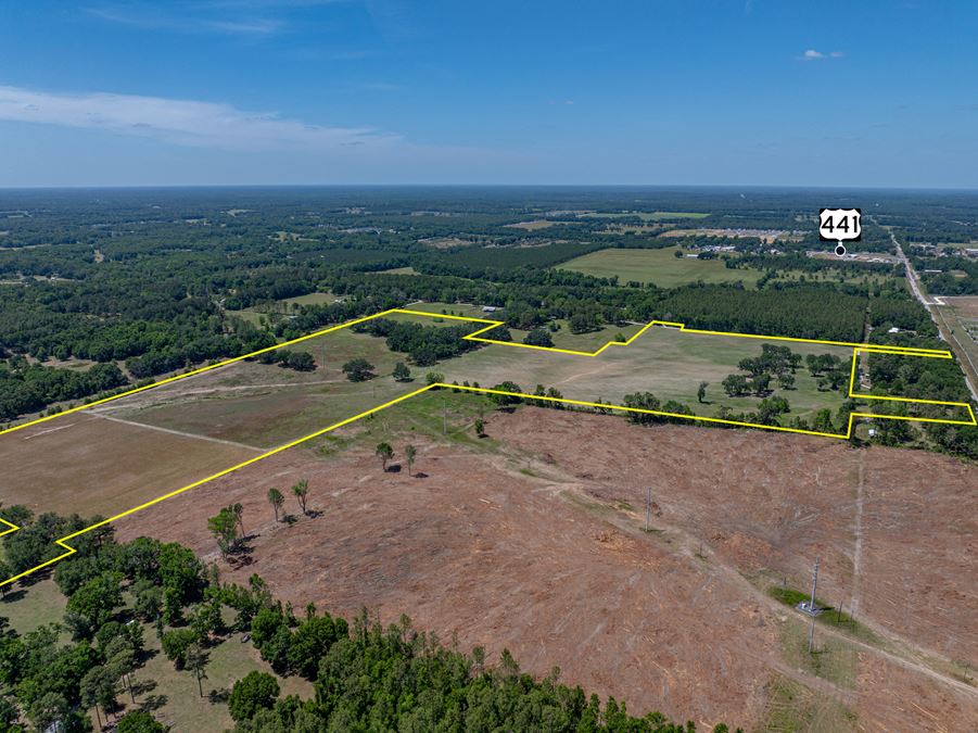 Alachua Transitional Acreage