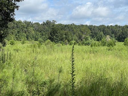 VacantLand space for Sale at 9900-10000 Block of SW 8th Avenue in Gainesville