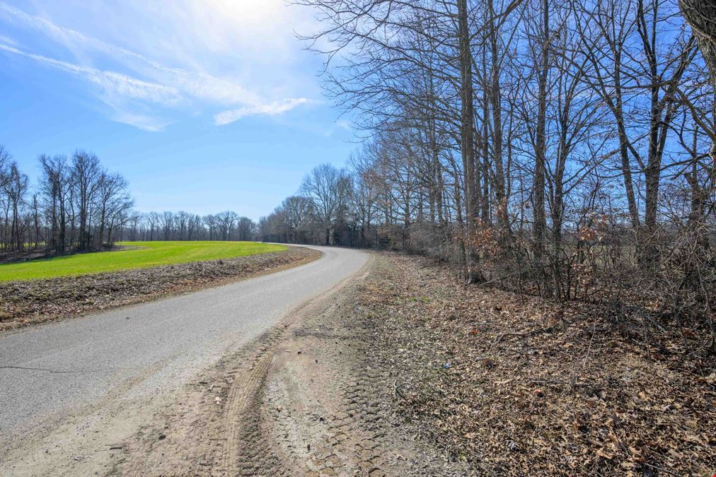 DETROIT RD, UNINCORPORATED, TN 38015