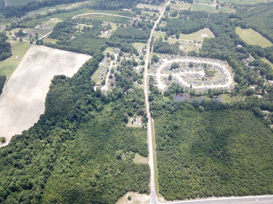 Alligator Rd