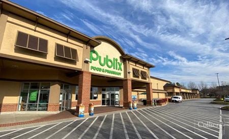 ±3,850 SF Publix Anchored Retail Opportunity - Anderson