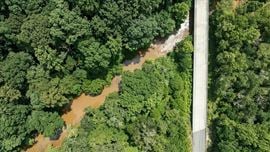 CHANDLER BRIDGE RD 719 ACRES