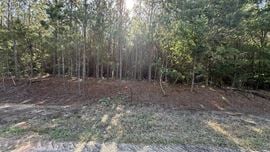 15 Acres in Pansey, AL | Planted Pines & Privacy