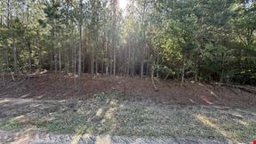 15 Acres in Pansey, AL | Planted Pines & Privacy
