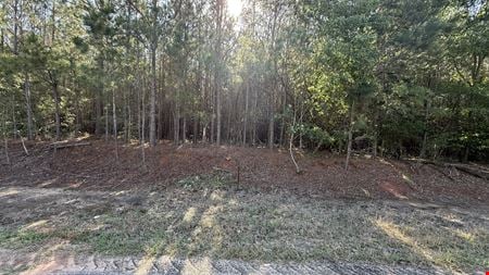 VacantLand space for Sale at Sherman Brunson Road in Pansey