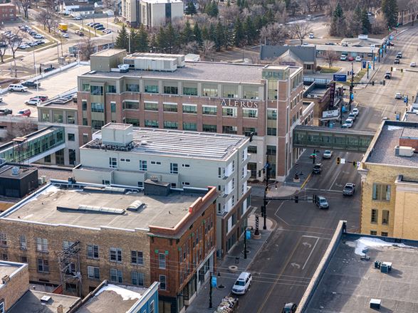 The Argyle