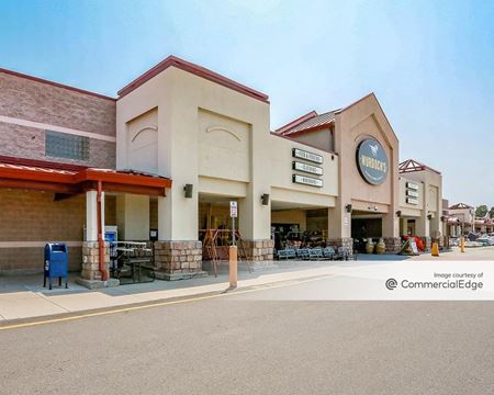Retail space for Rent at 100 Founders Pkwy in Castle Rock