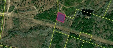VacantLand space for Sale at Lat/Long: 34.70164, -80.05177 Chesterfield Parcel in Chesterfield