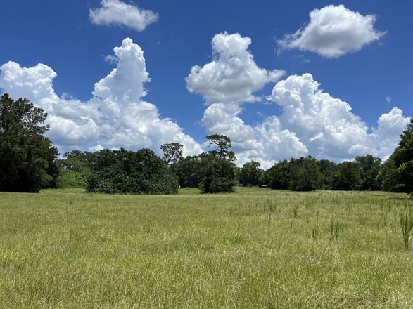 34+/- Acres for 134+ Single Family Homes