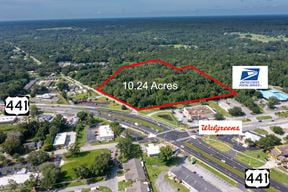 10+ acres B2 in Belleview City Limits