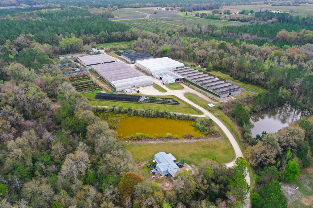Alachua County Propagation Nursery