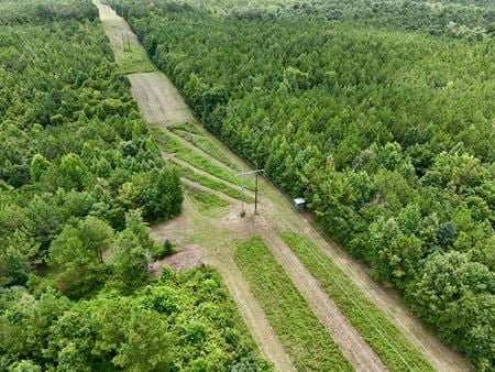 VacantLand space for Sale at 2867 Brady Road in Hope Hull