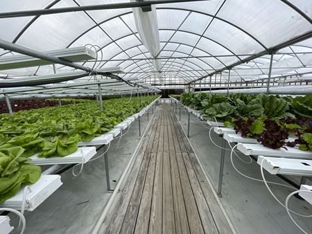 Photo of commercial space at Greenhouses on Little Lane in Salisbury