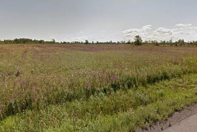 2313 Townline Road - Development