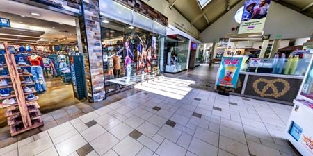 K11      Space Photo Gallery 2